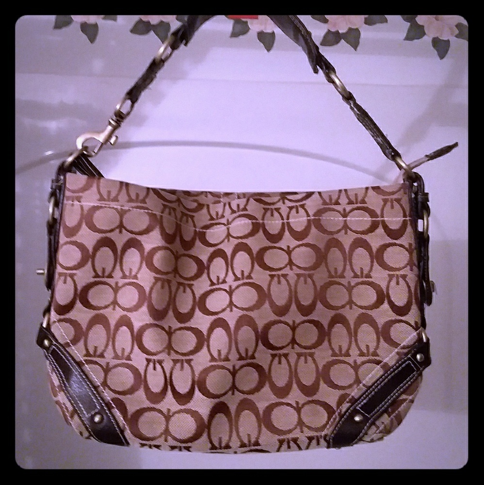 Ladies Hand or Hobo bag